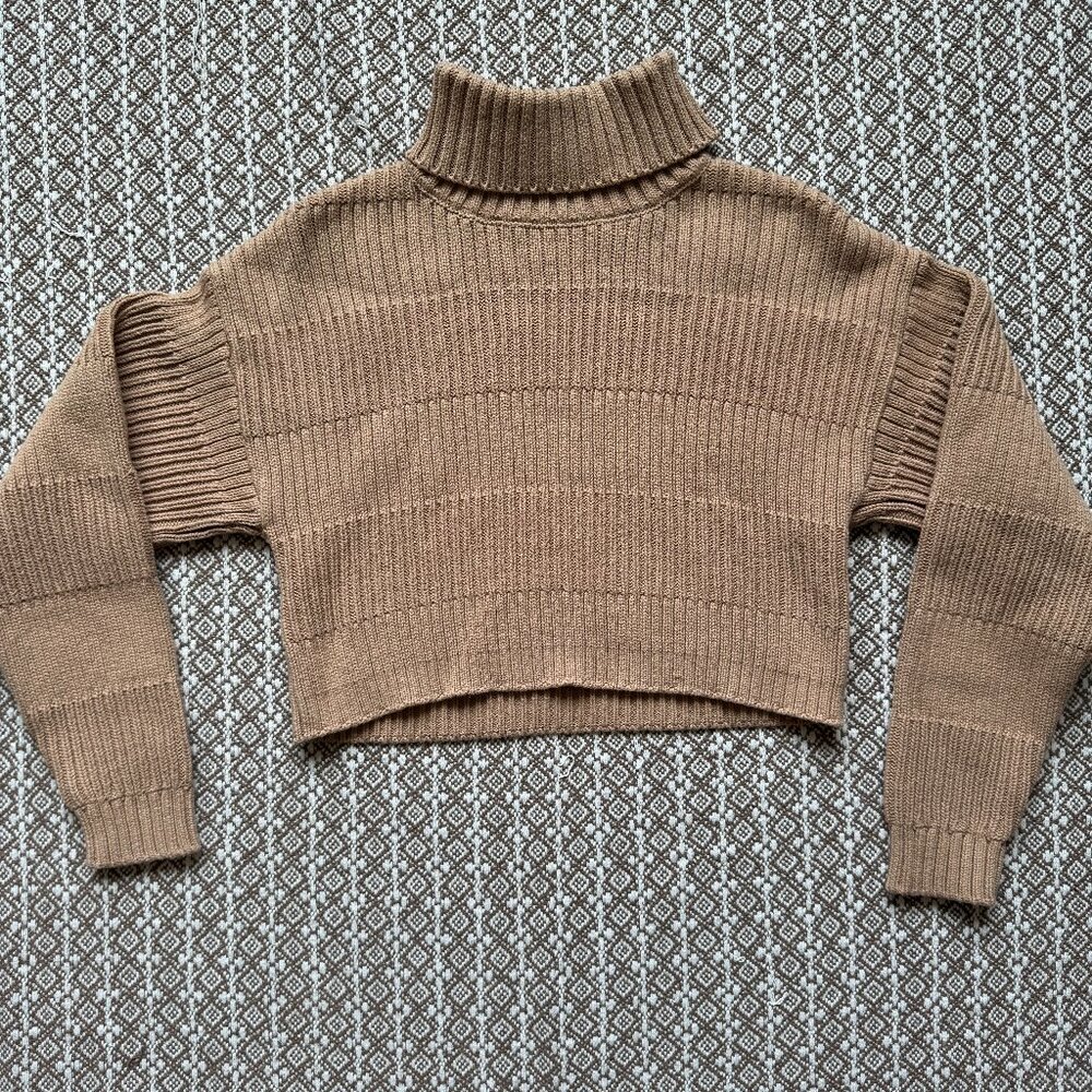 Small Pacsun Cropped Turtleneck Sweater
